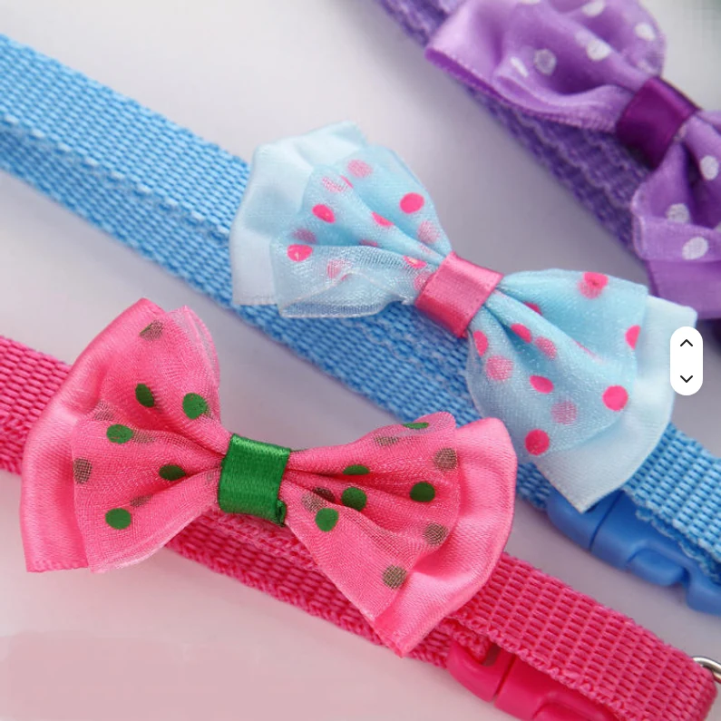 Close-up of pink, light blue and purple spotted bow ties on cat collars